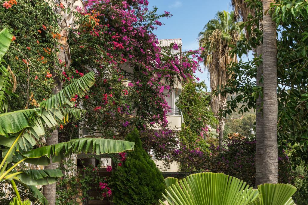 Pataros Hotel Патара Екстериор снимка
