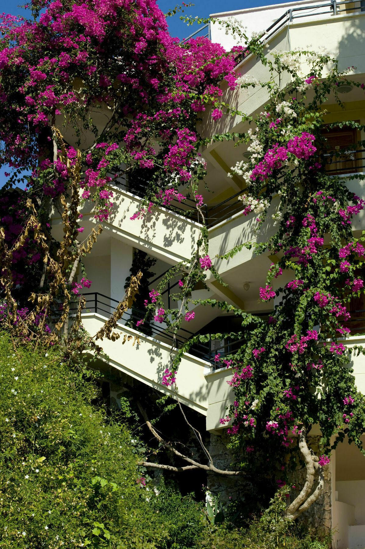 Pataros Hotel Патара Екстериор снимка